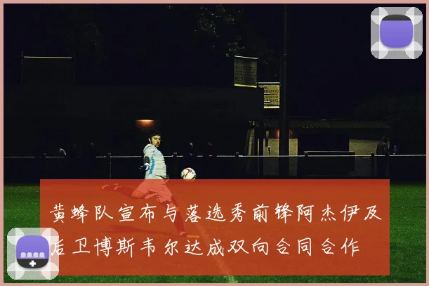 黄蜂队宣布与落选秀前锋阿杰伊及后卫博斯韦尔达成双向合同合作